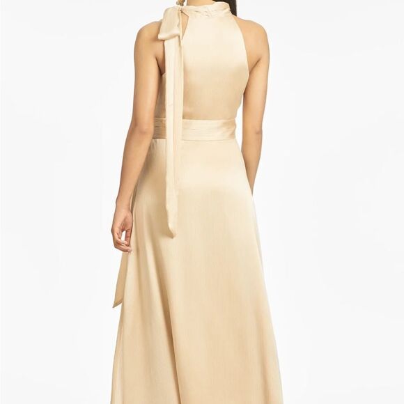 NWT Sachin + Babi KAYLA GOWN - CHAMPAGNE-P17 - Picture 3 of 6